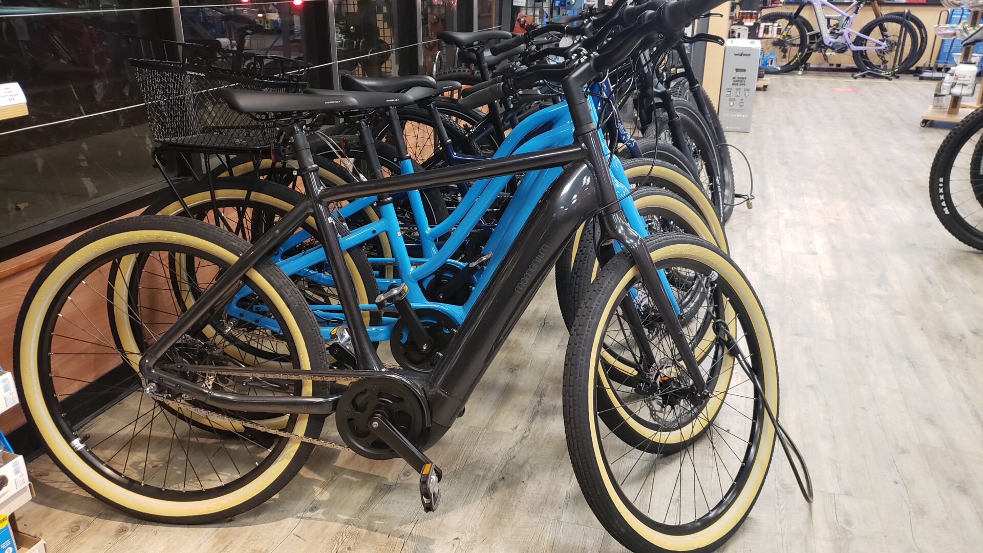 A collection of quality bikes at a store