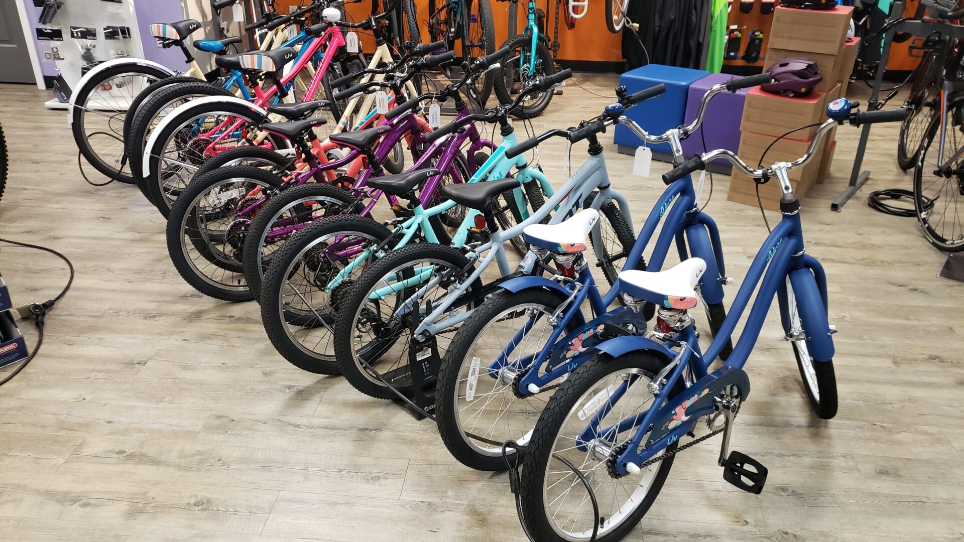 A collection of colorful quality bikes